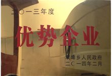 2013年度优势企业
