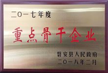 磐安县重点骨干企业