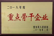 2018重点骨干企业