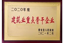 2020年度建筑业重点骨干企业