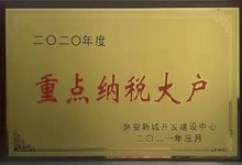 2020年度重点纳税大户